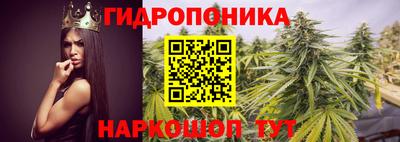 молекула духа Ливны