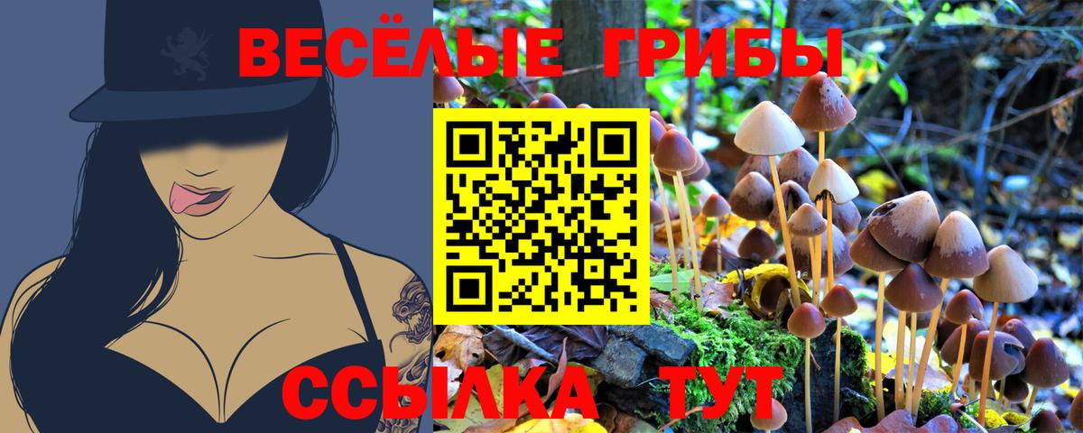 Галлюциногенные грибы мухоморы Ижевск