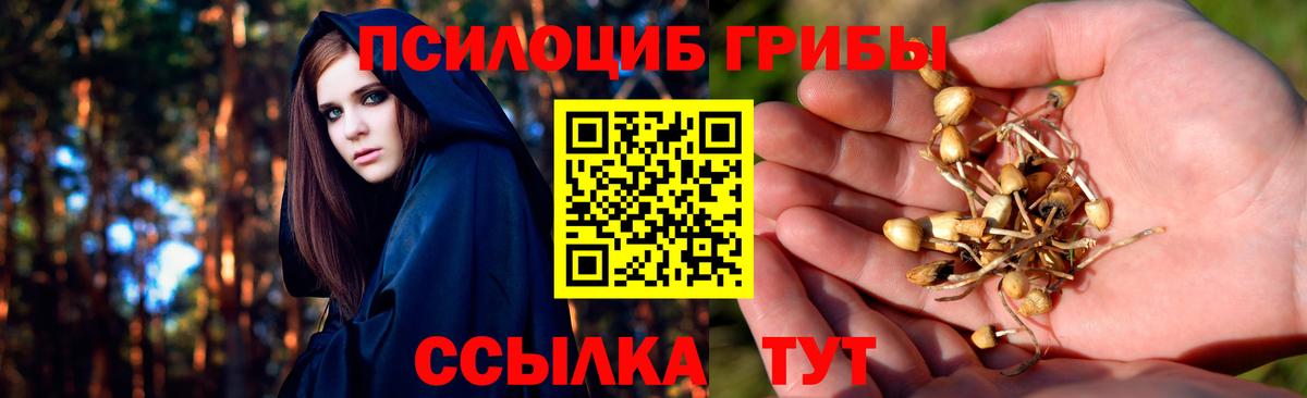 цена наркотик  Галлюциногенные грибы мухоморы  Вход с VPN  Ижевск 